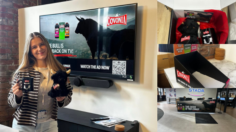 ⭐ Update zu meinem Praxissemester bei STADA Thornton & Ross ⭐