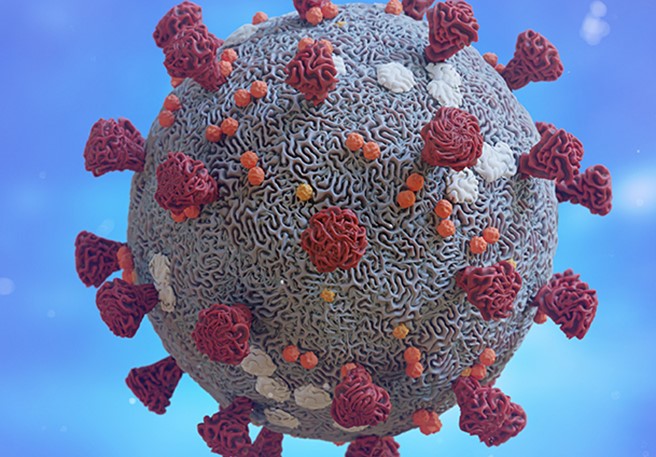Coronavirus (COVID-19)