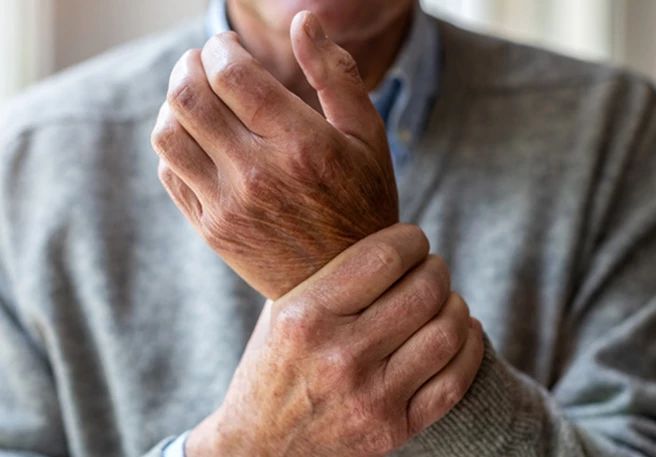 EMA Confirms Acceptance of Application for AVT04