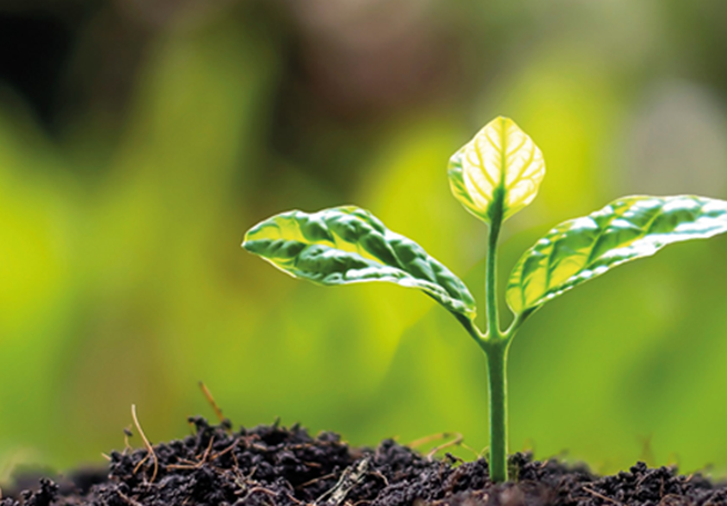 STADA further improves Sustainability ranking again: rates among top 6% of pharma players globally