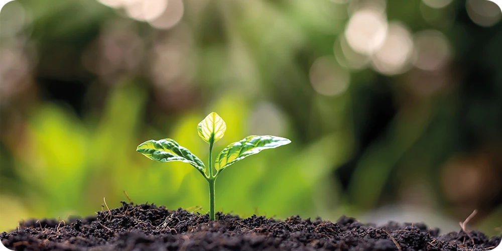 Nachhaltigkeitsbericht